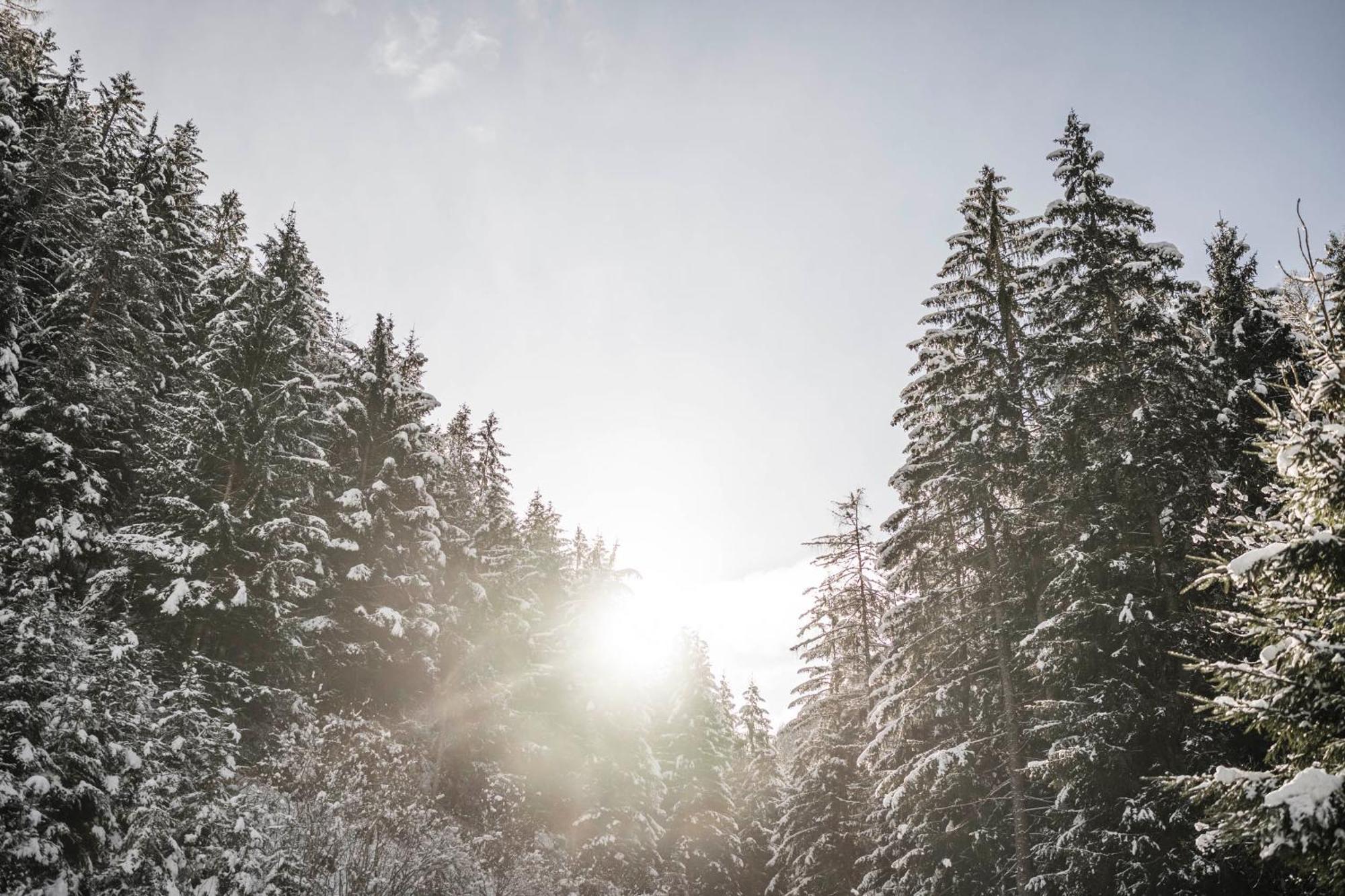 Вилла Pardellerhof Luesen Экстерьер фото